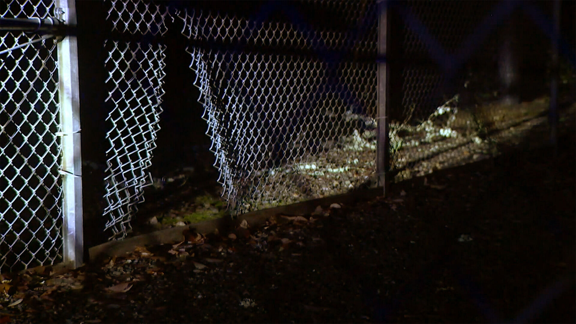 Power restoration in Washington state delayed as utility company discovers 'new issue' as it attempts to repair vandalized substations